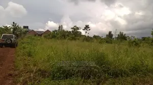 Very Prime 100 Ft X 100 Ft With Ready Title on Sale Kasanje
