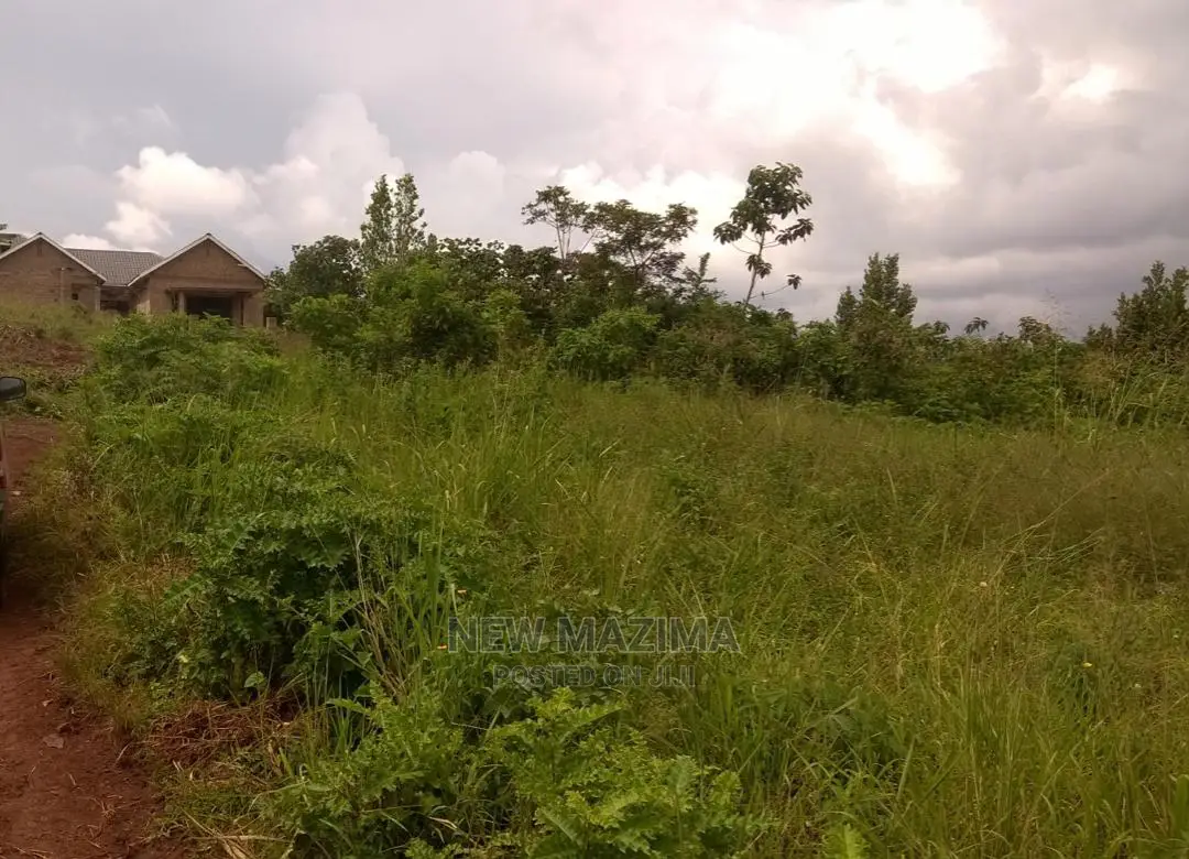 Very Prime 100 Ft X 100 Ft With Ready Title on Sale Kasanje