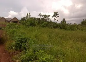 Very Prime 100 Ft X 100 Ft With Ready Title on Sale Kasanje