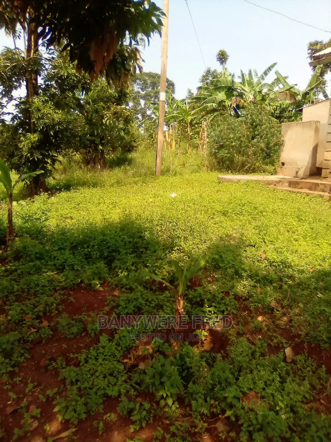 Nakasaja 50/100 Plot for Sale