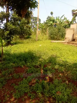 Nakasaja 50/100 Plot for Sale