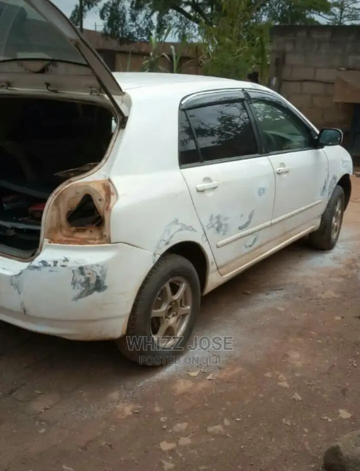 Car Spray Paint and Body Strangethen