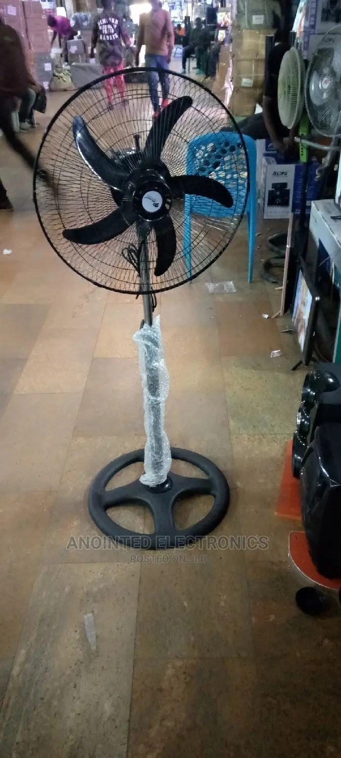 Stand Fans Black