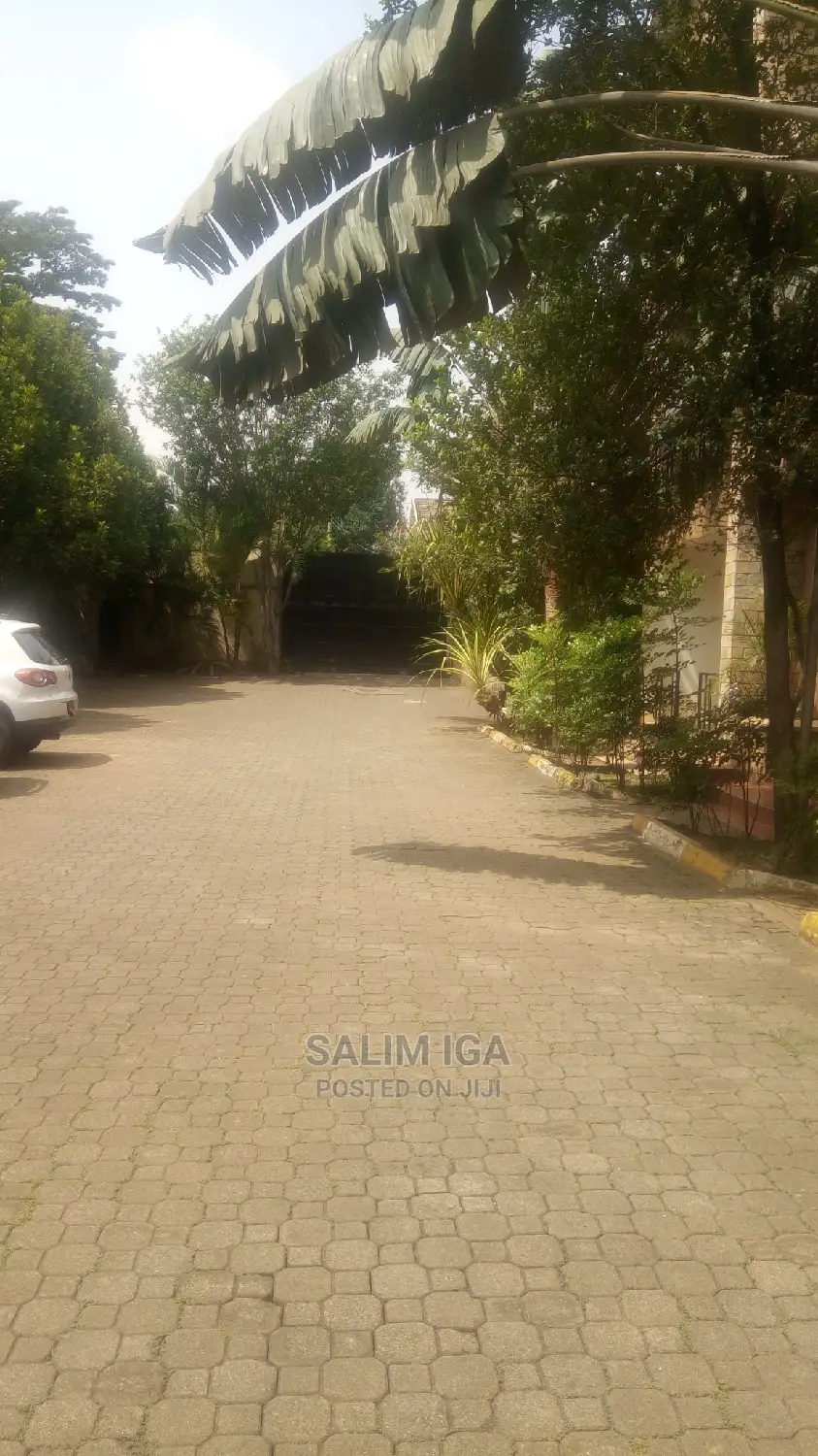 Furnished 3bdrm Apartment in Kololo Property, Central Division