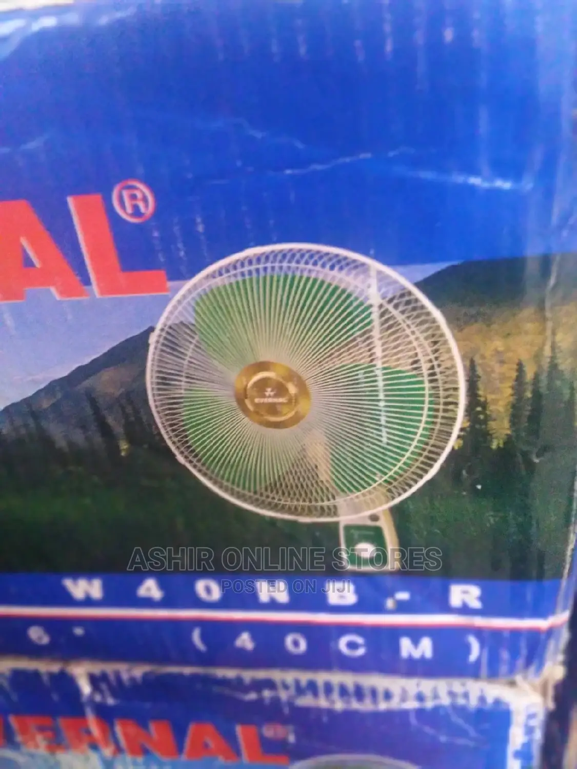 Evernal Wall Fan