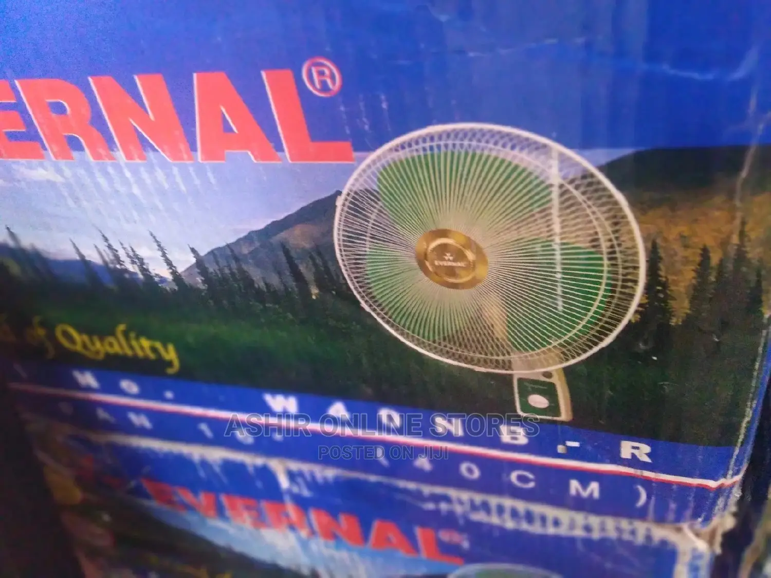 Evernal Wall Fan