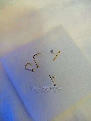 Quality Nose Pins Available