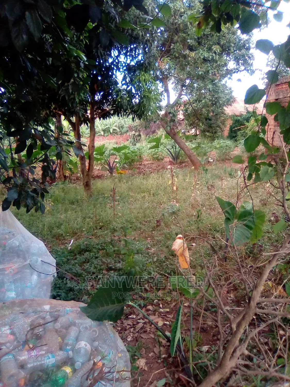100x100ft Plot for Sale at Nalya