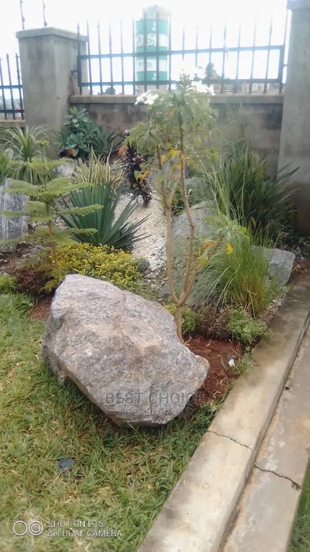Compound Designing and Land Scarping Masters.
