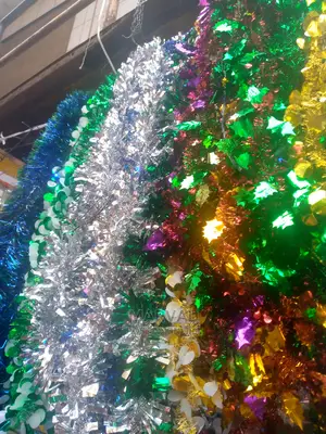Christmas Flowers