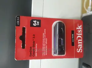 Sandisk USB Flash Drive