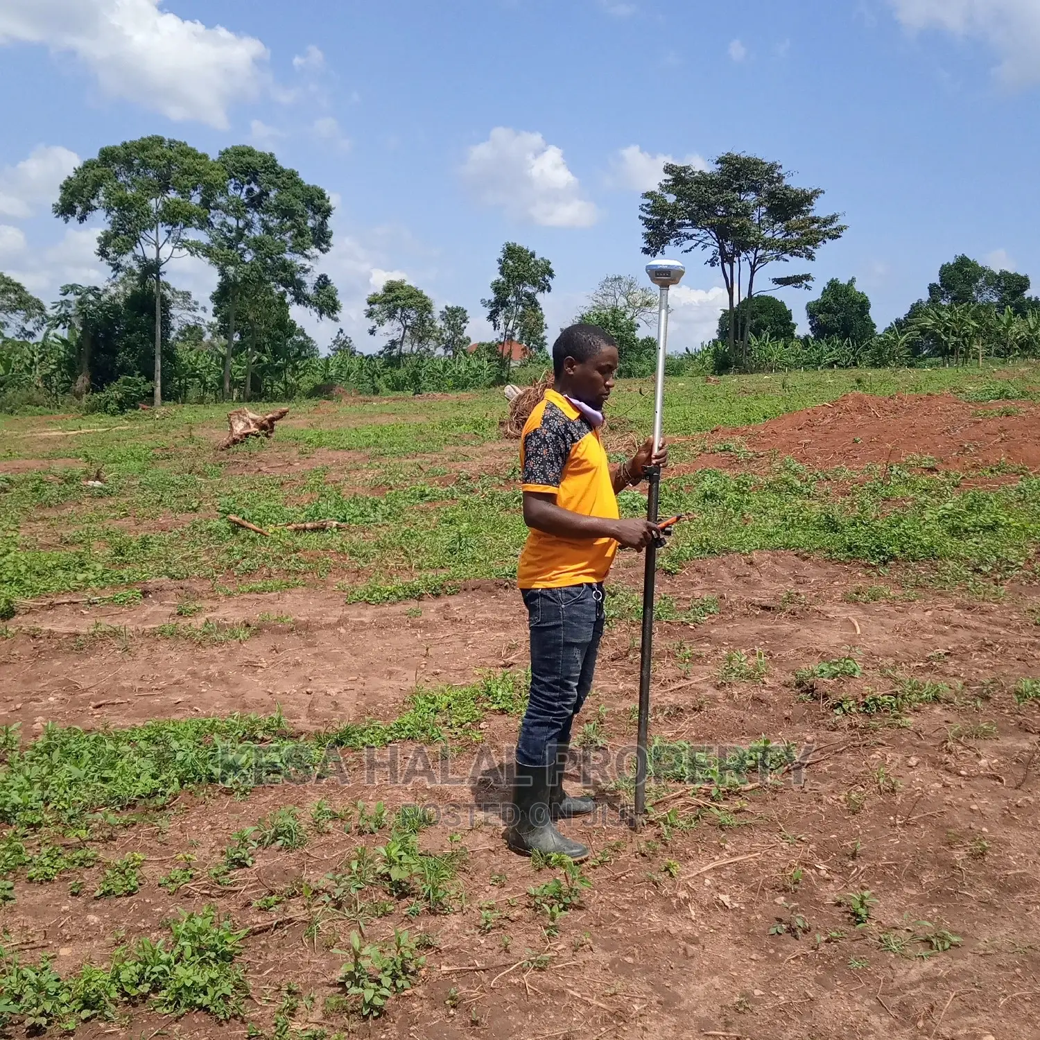 Professional Land Surveying Works And Land Documents.