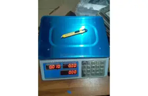 Price of Computing Weighing Scales.