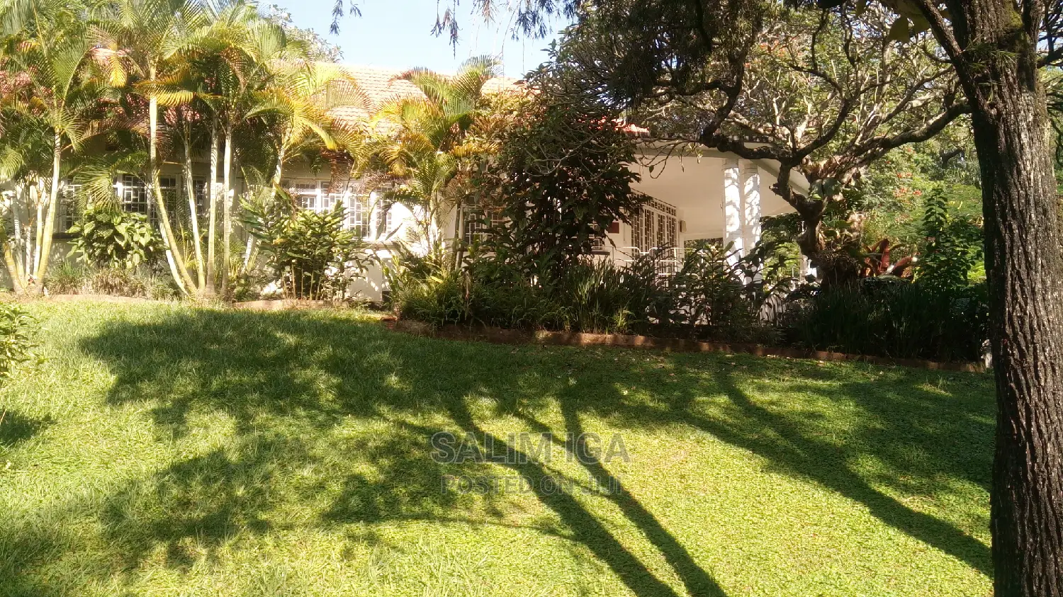 4bdrm Bungalow in Kololo Property, Central Division for Rent