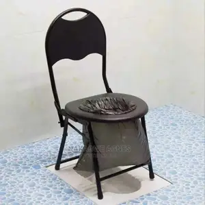 Adult Potty Cheap