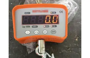 One Ton User Friendly Crane Weighing Systems.