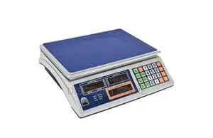 Unit Computing Counting Weigh Scales.