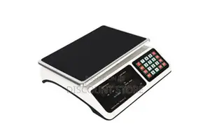 Original Reliable Computing Weigh Scales.