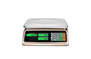 Computing Grocery Weighing Equipment.