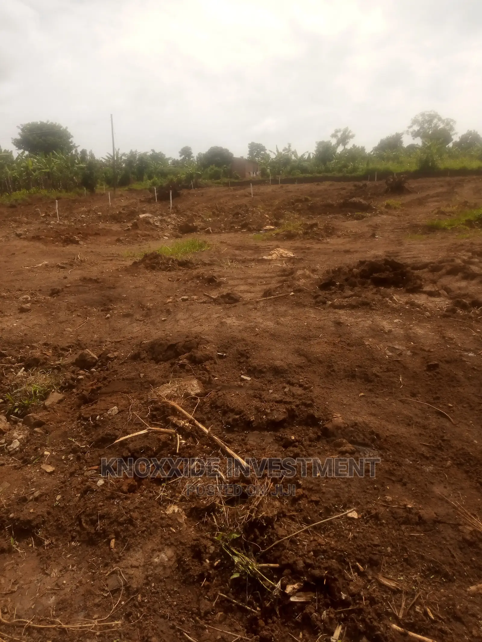 Plot on Sale 100x50ft at 18m Ugx Town Lukwaga Setema Road