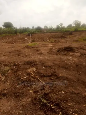 Plot on Sale 100x50ft at 18m Ugx Town Lukwaga Setema Road