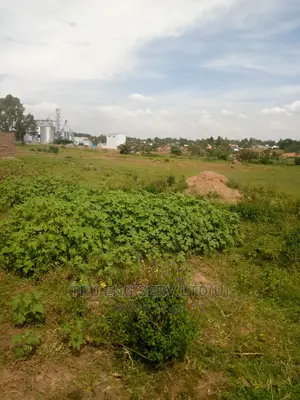Industrial Land And Plots For Sale