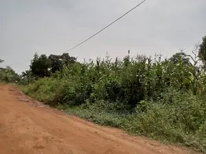 1acre and 40decimals for Sale in Kirs