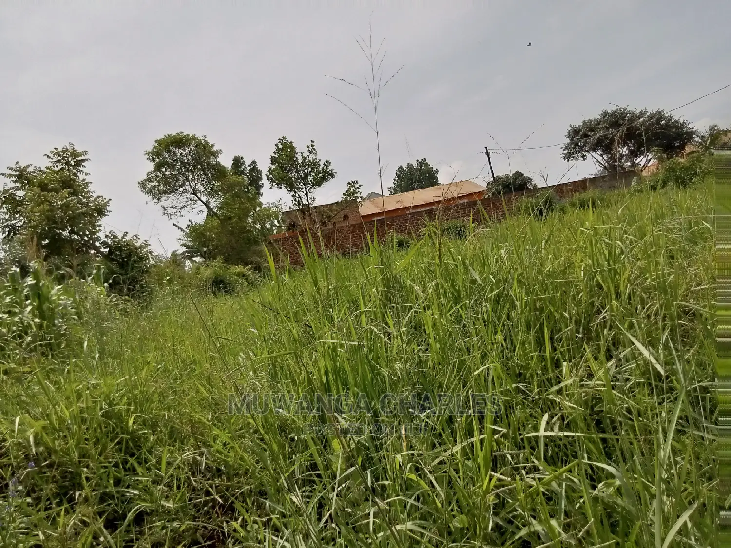 1acre and 40decimals for Sale in Kirs