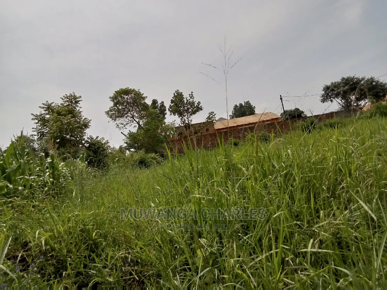 1acre and 40decimals for Sale in Kirs