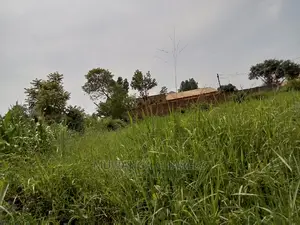 1acre and 40decimals for Sale in Kirs