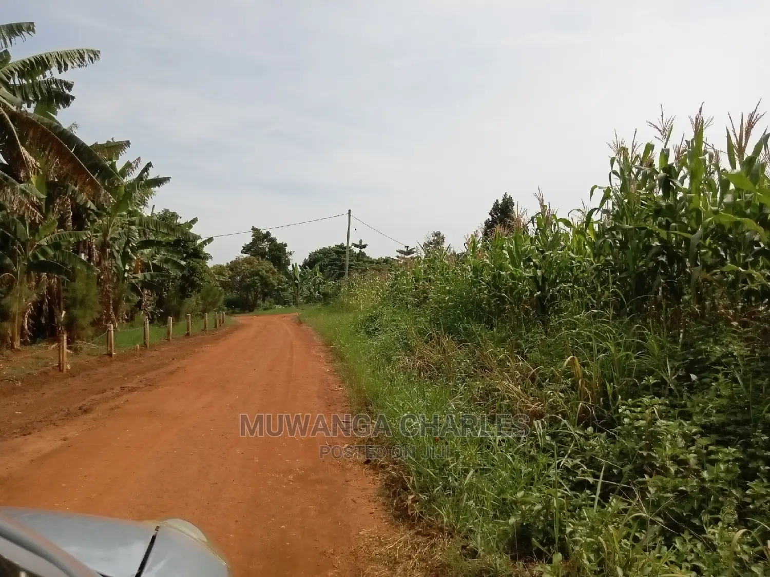 1acre and 40decimals for Sale in Kirs
