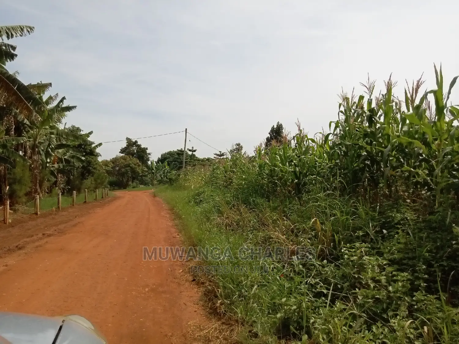 1acre and 40decimals for Sale in Kirs