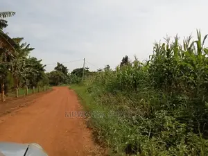 1acre and 40decimals for Sale in Kirs