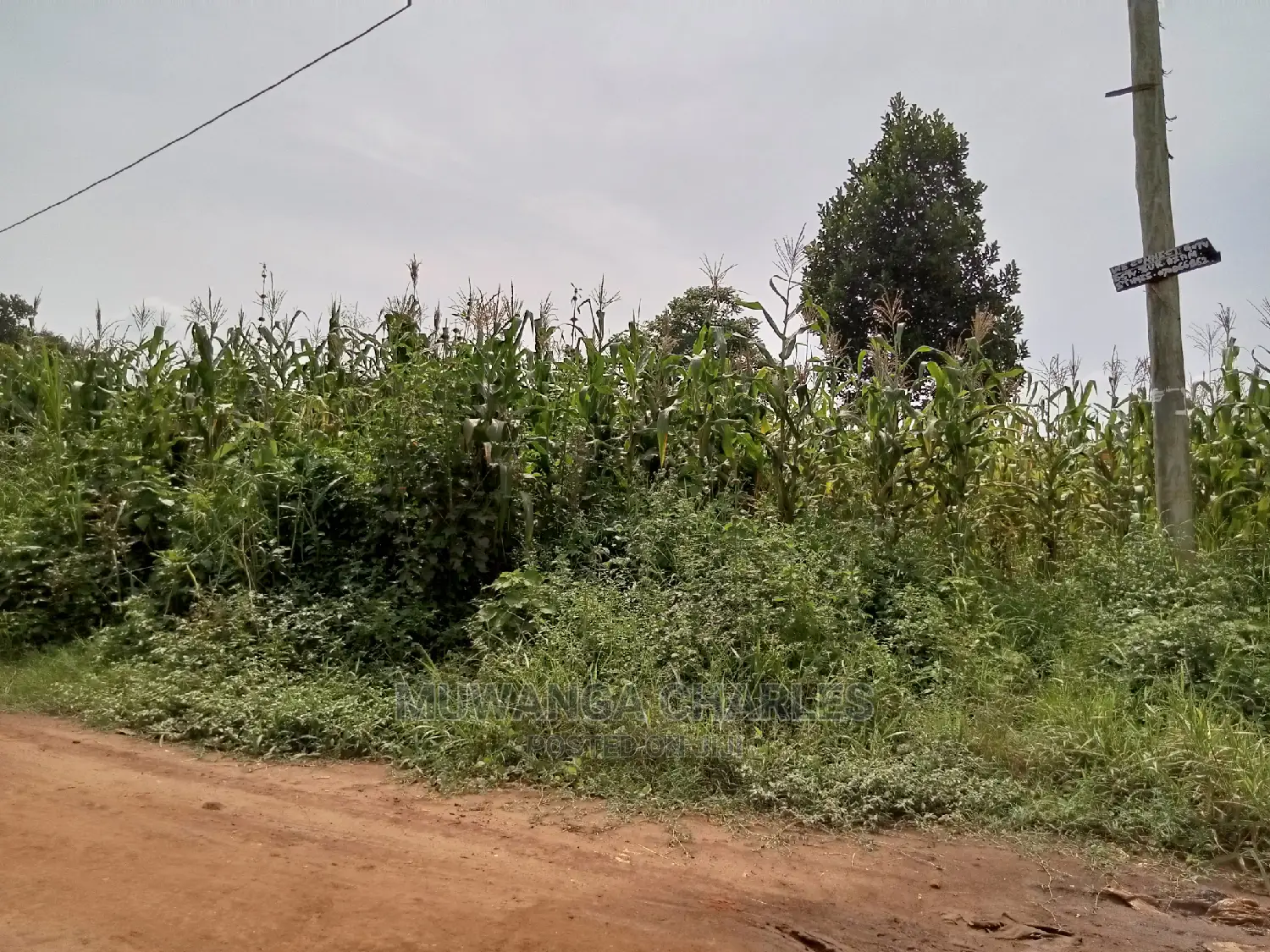 1acre and 40decimals for Sale in Kirs