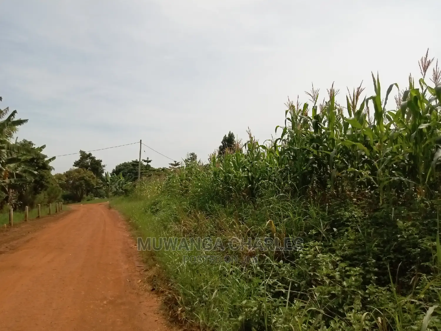 28decimals for Sale in Kira