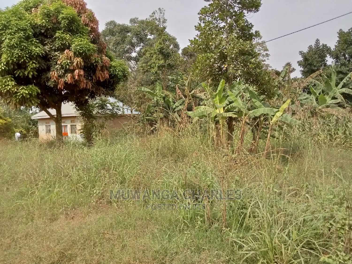 28decimals for Sale in Kira