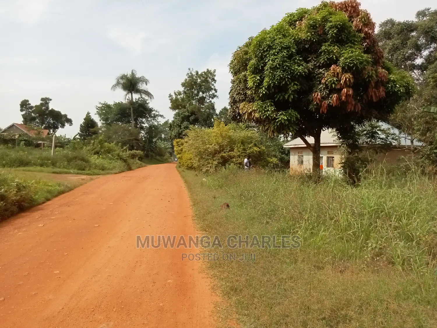 28decimals for Sale in Kira