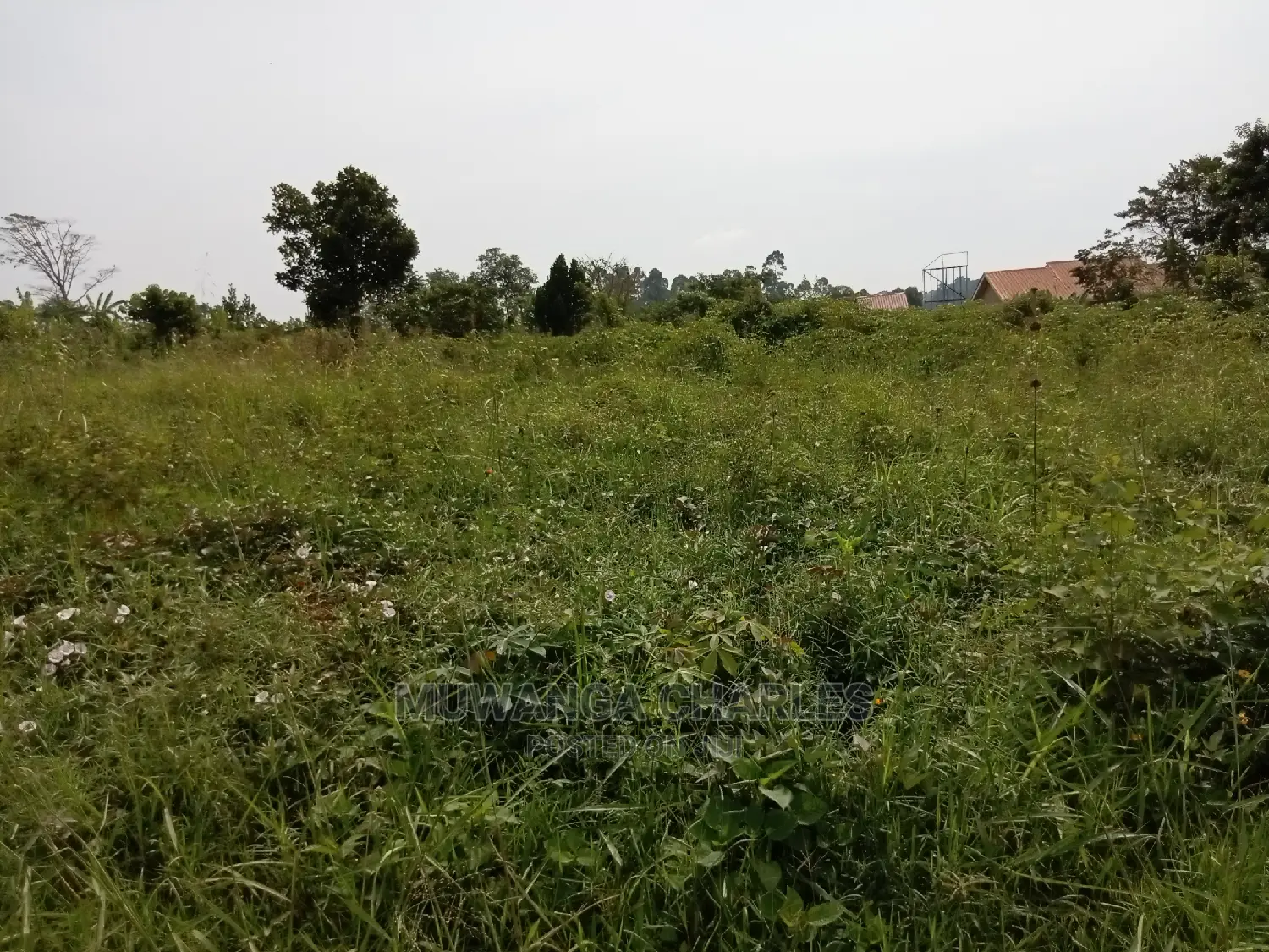 Plot for Sale in Kira Kimwanyi
