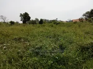 Plot for Sale in Kira Kimwanyi