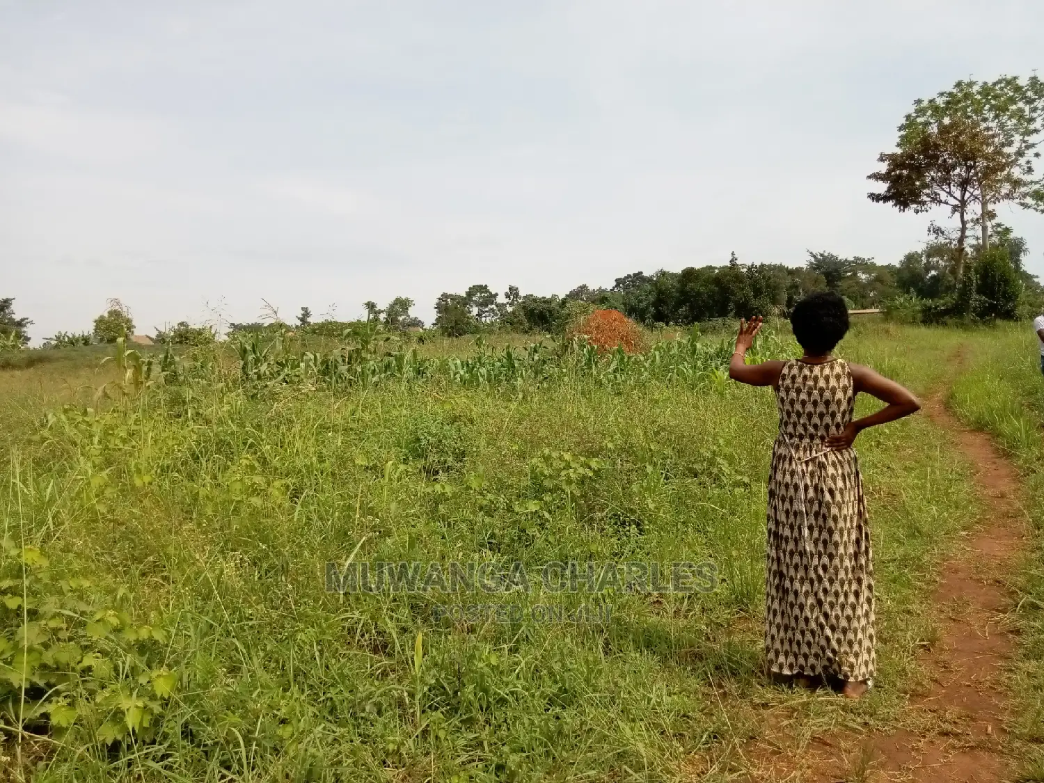 Plot for Sale in Kira Kimwanyi