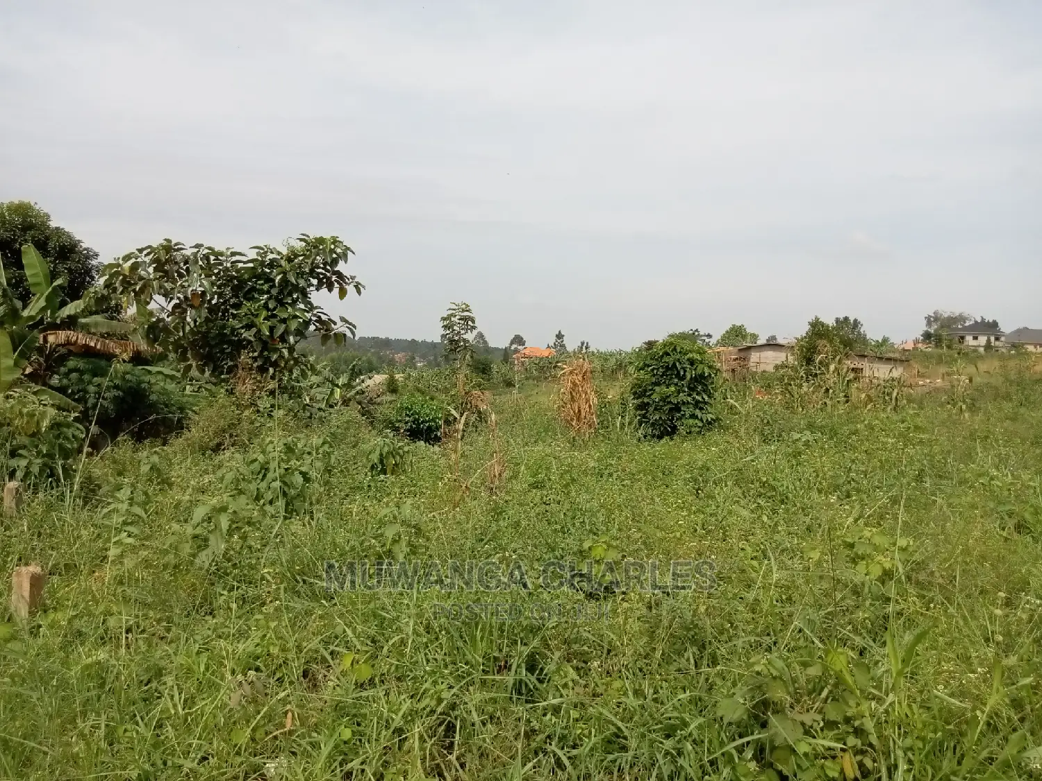 Plot for Sale in Kira Kimwanyi