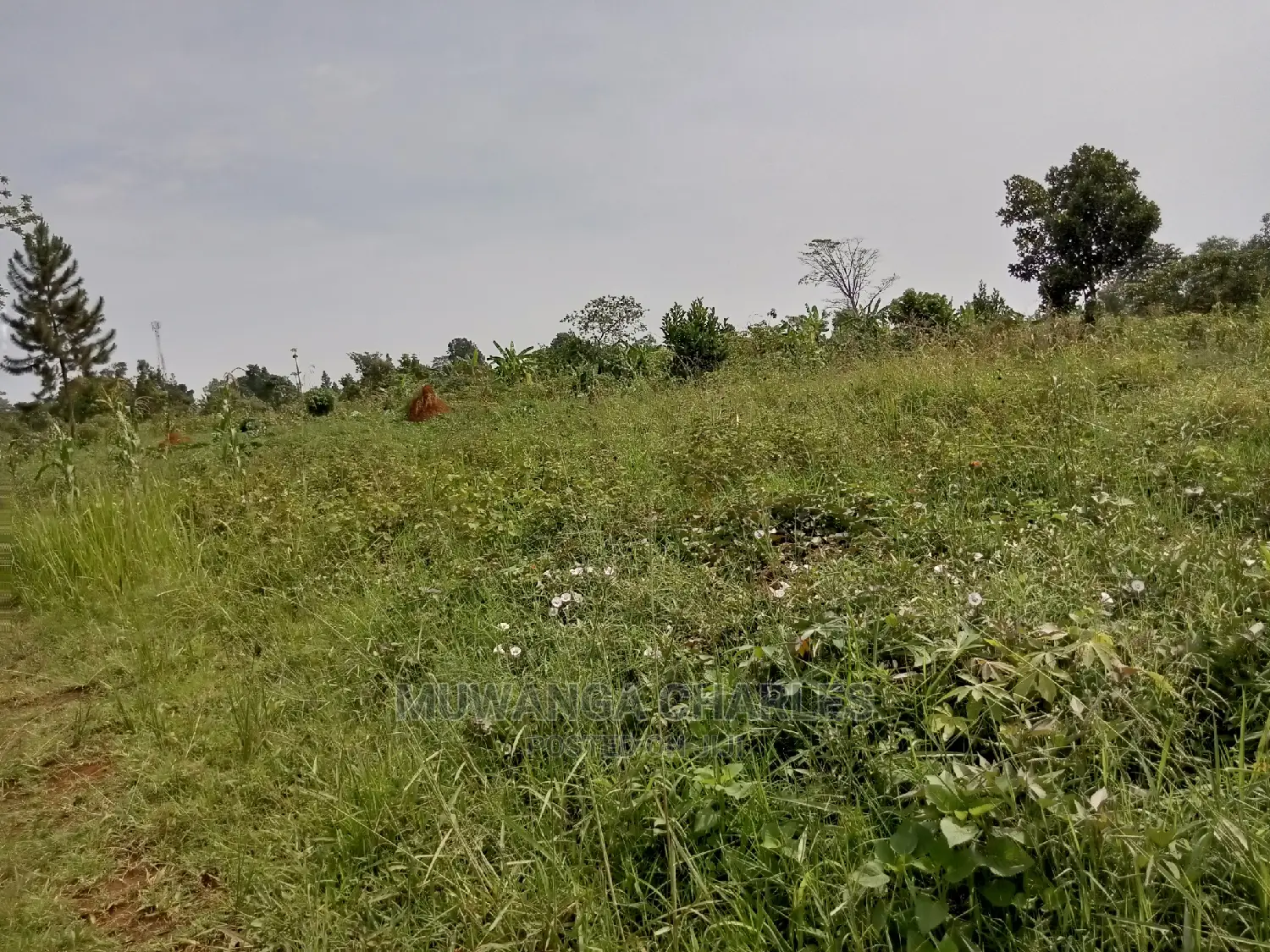 Plot for Sale in Kira Kimwanyi