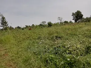 Plot for Sale in Kira Kimwanyi
