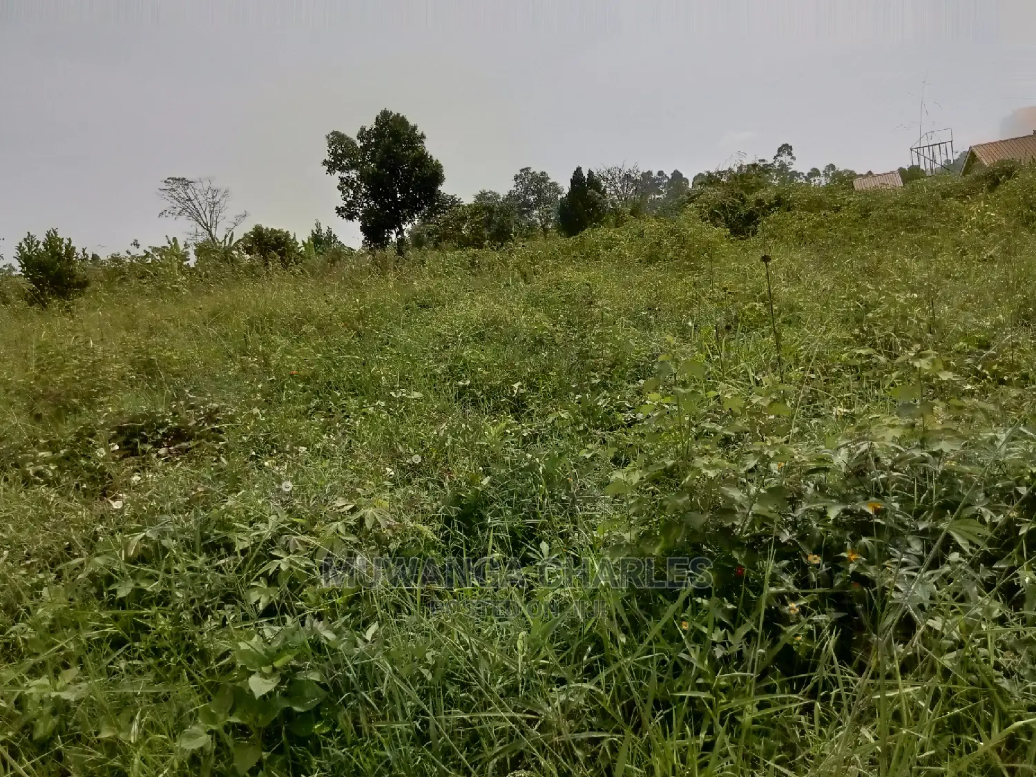Plot for Sale in Kira Kimwanyi