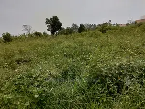 Plot for Sale in Kira Kimwanyi