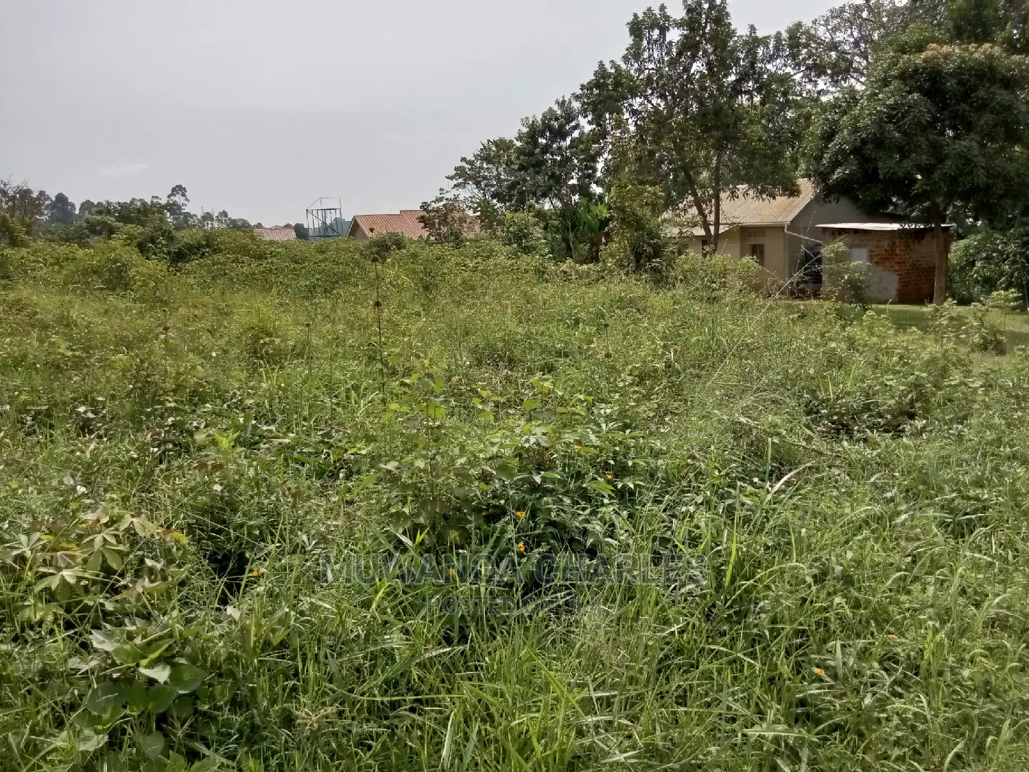 Plot for Sale in Kira Kimwanyi