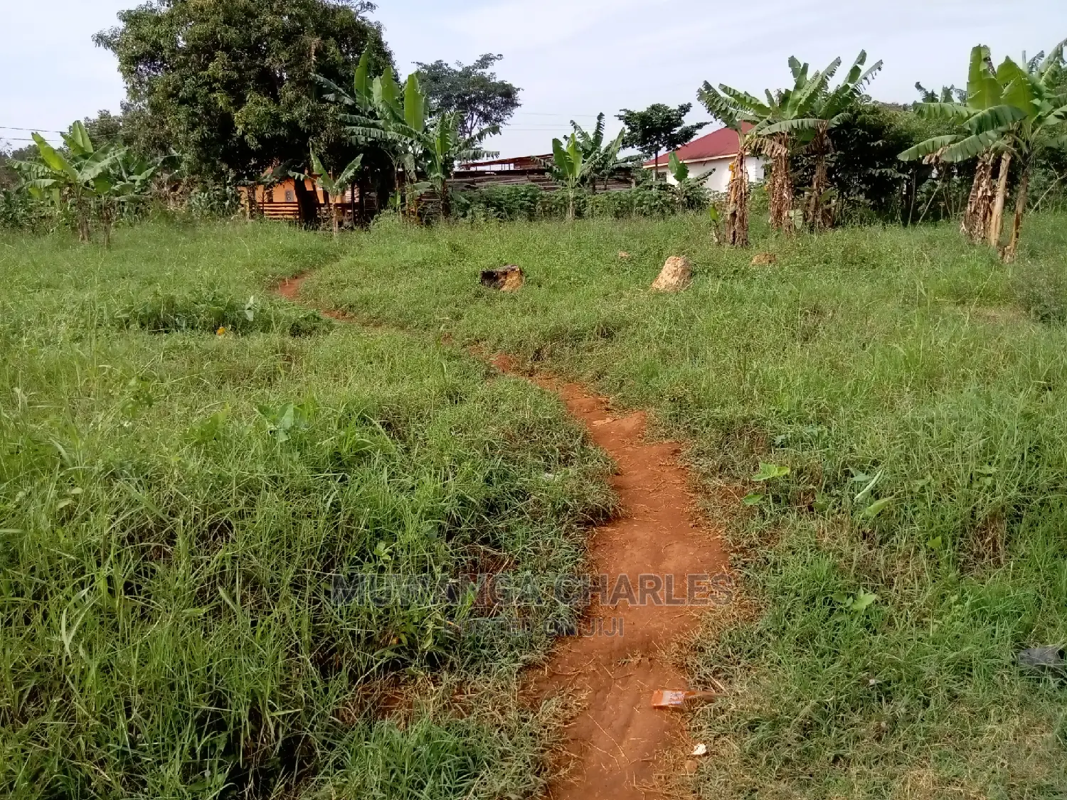 13decimals for Sale in Kira