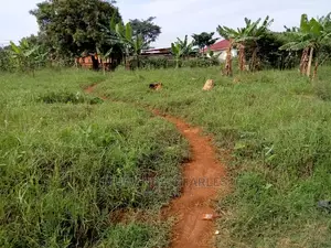 13decimals for Sale in Kira