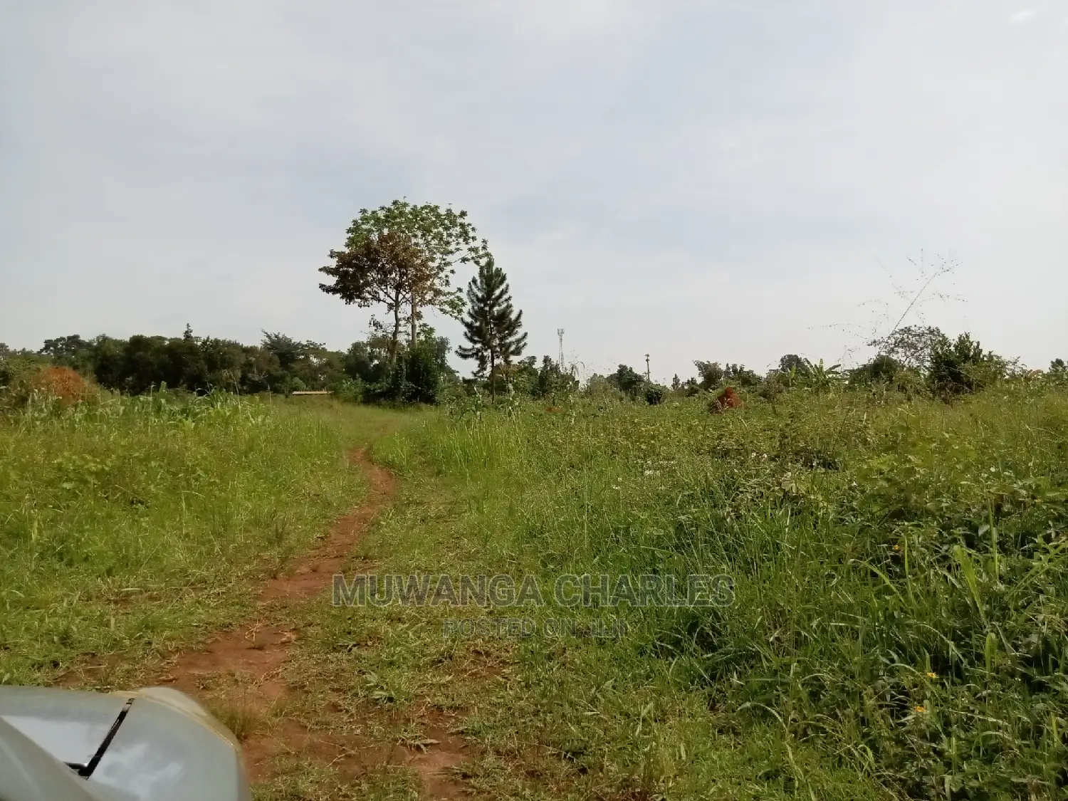 13decimals for Sale in Kira
