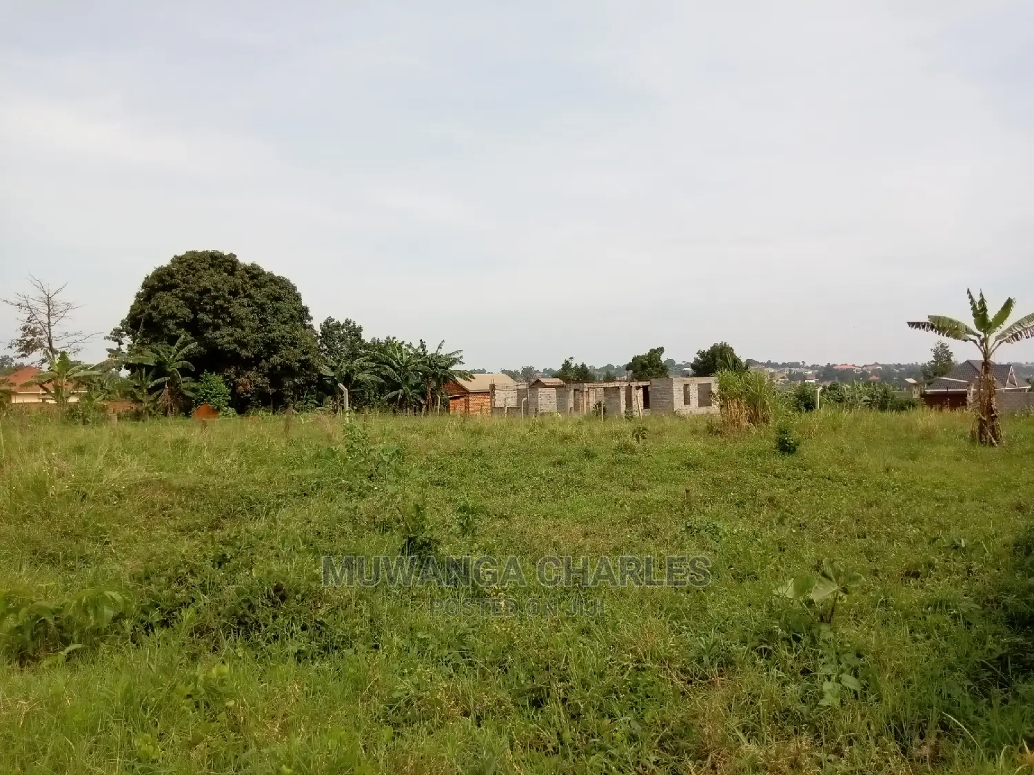 13decimals for Sale in Kira